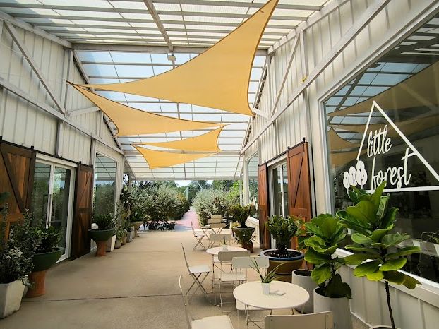 Little Forest Homestay & Cafe Chantaburi