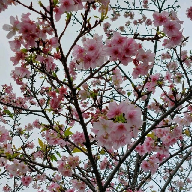 เที่ยวไต้หวันแบบคนงบน้อย