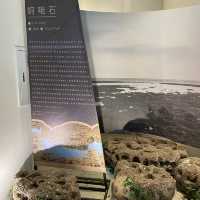 桃園景點-永安海螺文化園區
