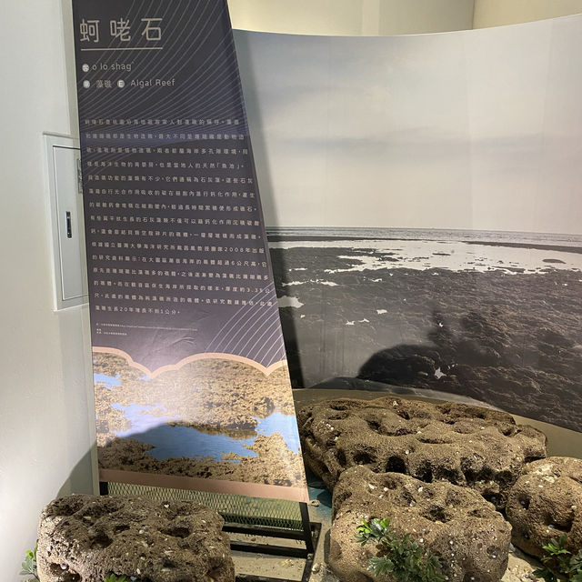 桃園景點-永安海螺文化園區
