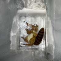 Fascinating Ice Palace in Jungfraujoch