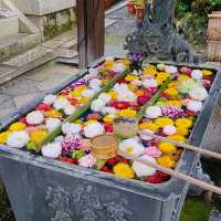 京都花手水発祥のお寺⭐柳谷観音楊谷寺⭐
