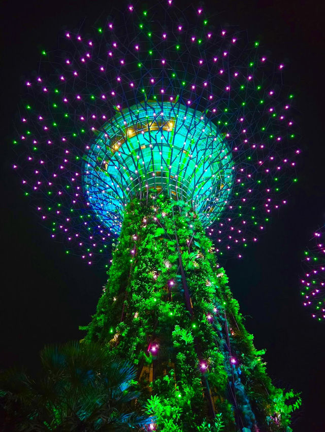 Gardens by the Bay