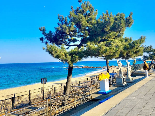 Jeongdongjin Beach