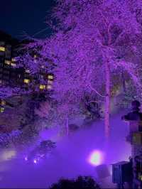 【東京】絶対に行ってほしい✨幻想的な世界