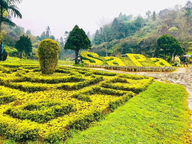 Sa Pa whispers secrets of ancient wisdom🇻🇳⛰️