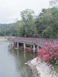 珠海免費景點，小溪花海人少