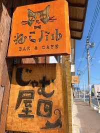 【福岡カフェ】猫ちゃん好きな店主さんのランチからスイーツまで楽しめるお店🐈