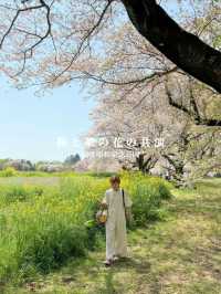 国営昭和記念公園　桜の園エリアご紹介