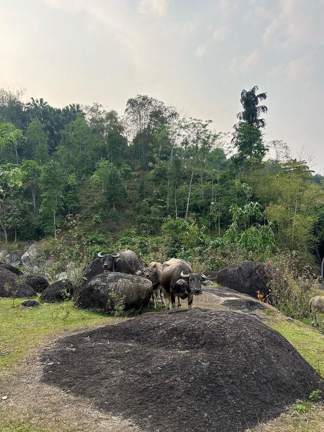 Must visit in Vietnam 🇻🇳 