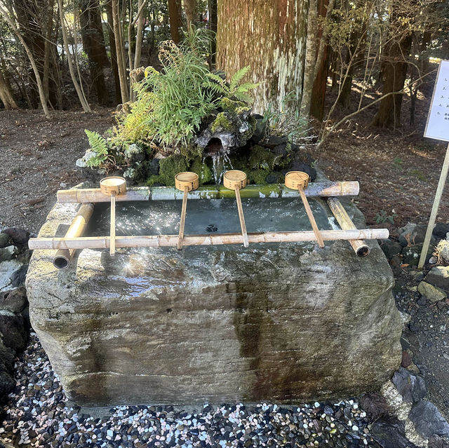 【霧島神宮】值得參觀的古老神社⛩️