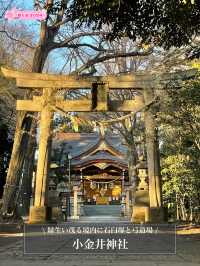 【小金井神社/東京都】緑生い茂る境内に石臼塚と弓道場