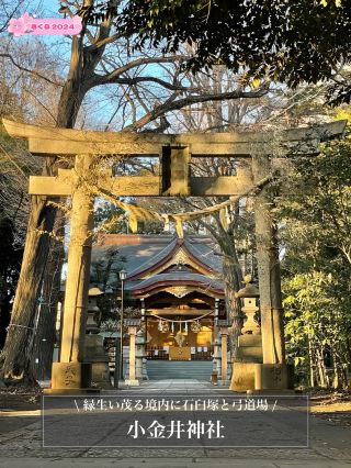 【小金井神社／東京都】綠意盎然的境內，石臼塚與弓道場