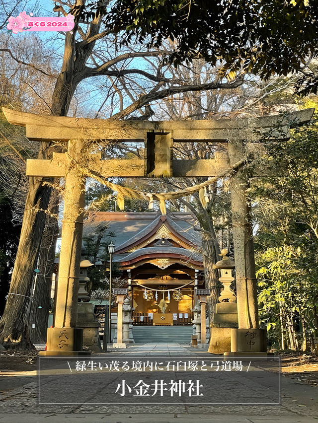 【小金井神社/東京都】緑生い茂る境内に石臼塚と弓道場