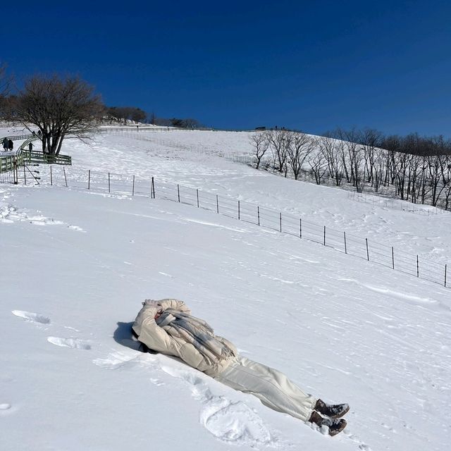 이젠 삿포로 안가두돼!!!