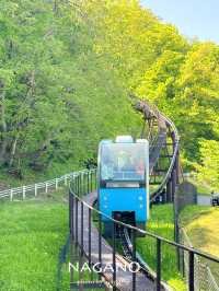 【長野/篠ノ井】めちゃくちゃかわいいモノレール🚝韓国のみたい 