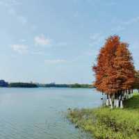 後灘濕地公園:自然王國