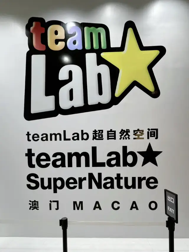 澳門·teamLab超自然空間