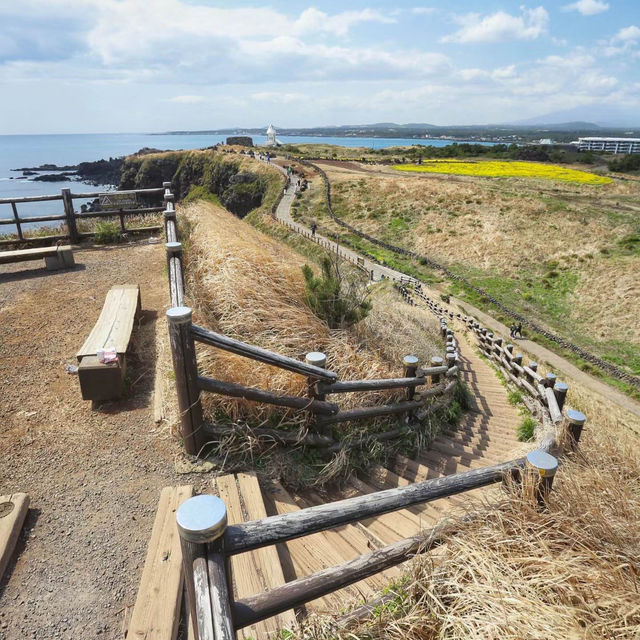 足摺岬：絕美海岬風景區，適合春天旅遊