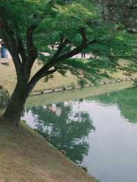 京都 | 宇治一日遊 造訪抹茶之鄉🍵