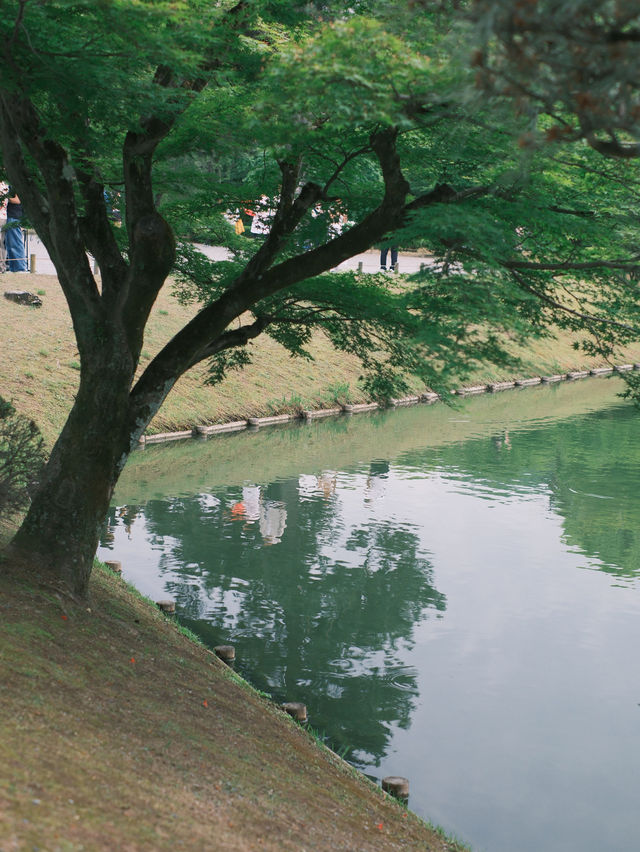 京都 | 宇治一日遊 造訪抹茶之鄉🍵