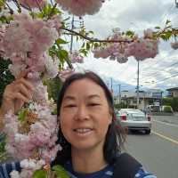 Beautiful Fujisan on 3 May 2024