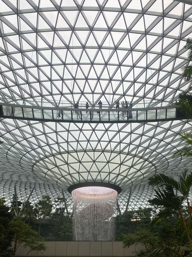 น้ำตกยักษ์กลางสนามบิน Changi Airport🌳✨