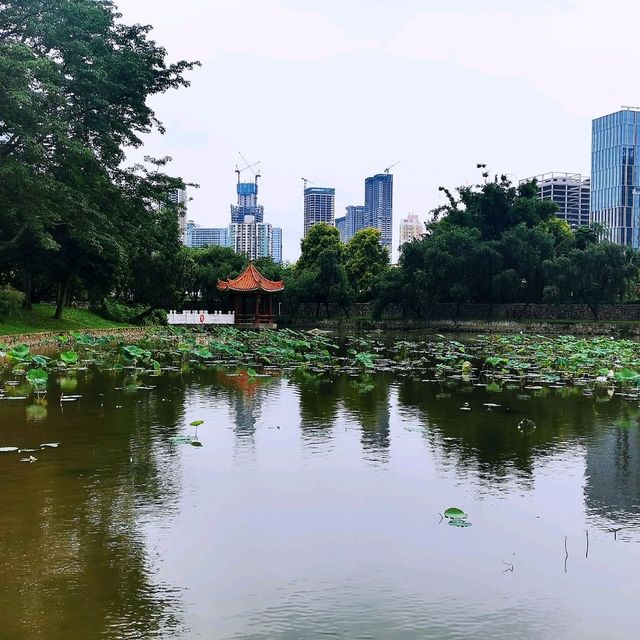 洪湖公園