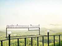 กะปง ม่านหมอก วิวแคมป์ 