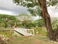 Tanawan Park สวนเดินเล่นชิล ๆ แห่งใหม่@เชียงใหม่