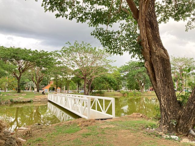Tanawan Park สวนเดินเล่นชิล ๆ แห่งใหม่@เชียงใหม่