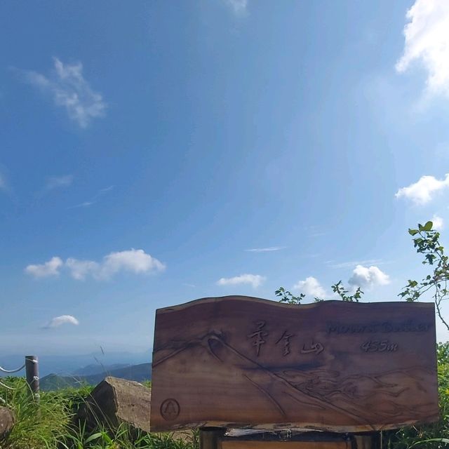 香港山峰⛰-畢拿山🏞🪵🏙