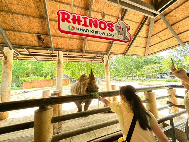 綠山野生動物園 超過300種動物的泰國大型動物園