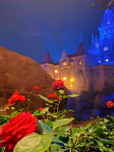 ディズニー攻略】美女と野獣の攻略法🤍 | Trip.com 東京ディズニーランド