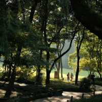 「Everton Park」綠色植物公園，2024年春天好去處
