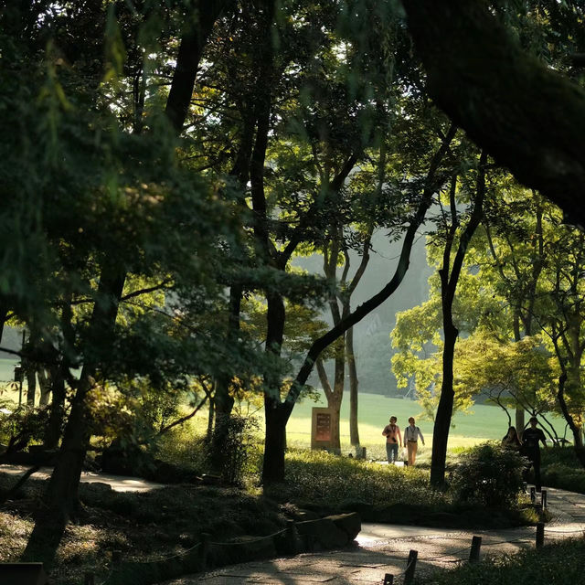 「Everton Park」綠色植物公園，2024年春天好去處