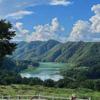 吹田山：春天花海，適合春天漫步