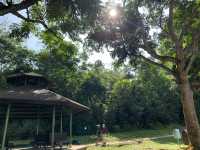 Green break from the city 