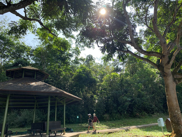 Green break from the city 