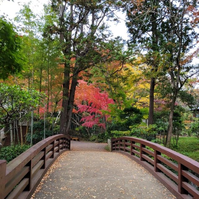 【静岡県三島市】三嶋大社