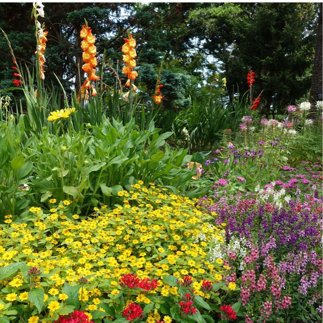 【福岡観光】色とりどりのお花が魅力的な植物園