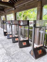 Things to Do at Tsz Shan Monastery