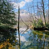 必訪日本阿爾卑斯山美景〔大正池〕