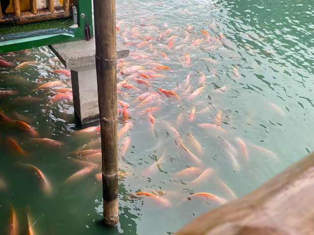 ยำจานละ20บาท มีอยู่จริง😲 ร้านยำริมบ่อ สมุทรสาคร