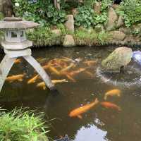 อามาบิกิคันนง@อิบาระกิ@janpanวัดและศาลเจ้า