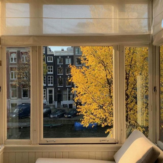 Amazing Amsterdam Street 🌷🚴♂️ Amazing Amsterdam Street 🌷🚴♂️