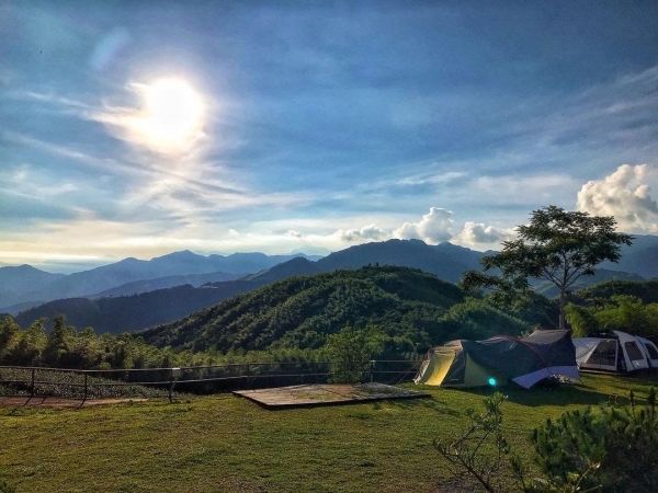 深山林內生態農場