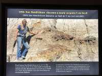 【🇺🇸芝加哥🇺🇸】Field Musuem：暴龍🦖 T Rex 體驗，難忘博物館之旅，適合帶小朋友來震撼教育一下‼️
