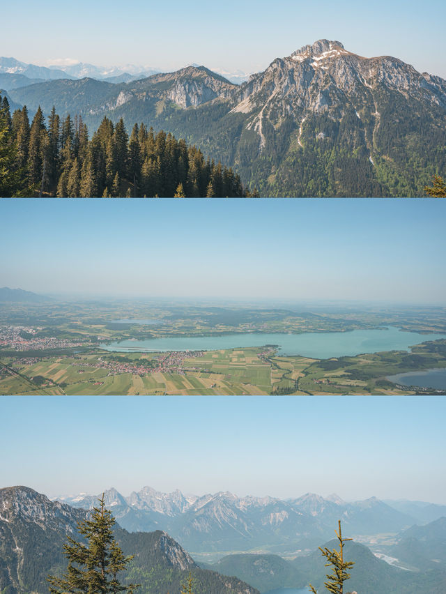【ドイツ🇩🇪】アルプスの山々とお城が眺められるハイキングコース！