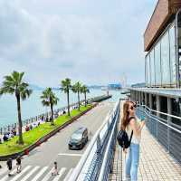 🇯🇵九州一日遊 🌴下關的唐戶市場和赤間神宮 